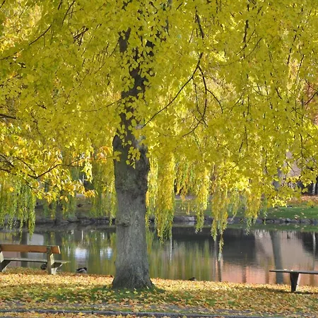 Daire Petersdorf Kleine Auszeit Fehmarn